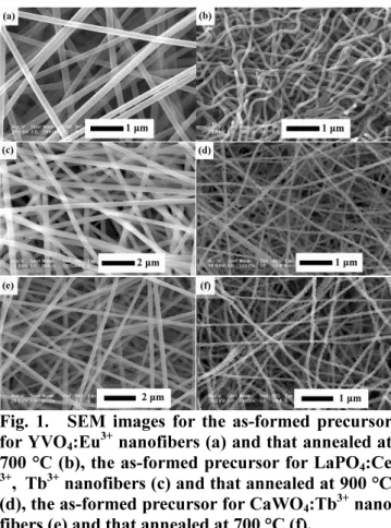 Fig. 1 shows the SEM micrographs of the as-