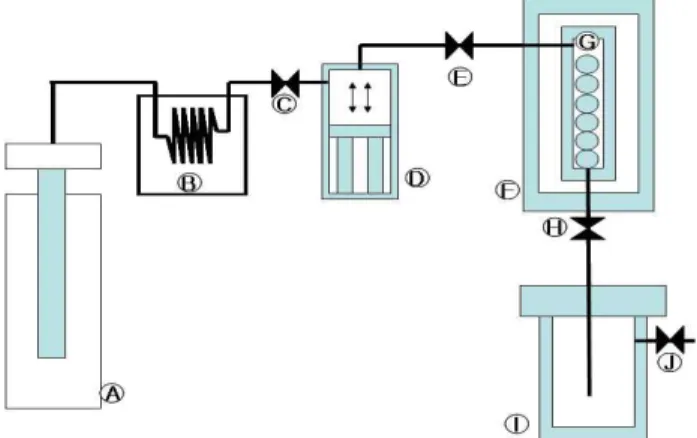 Fig. 1. Schematic flow diagram of supercritical fluid pre- pre-treatment system for drying