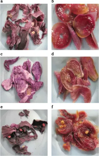 Table 1. Hunter color values of freeze dried, hot-air dried, and polyethyleneglycol (PEG)-treated Opuntia ficus-indica