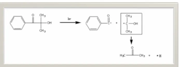 Fig. 4. The reaction schematic diagram of the  photoinitiator (Darocur1173).   