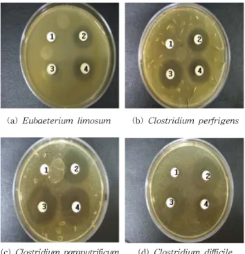 Fig.  1.  Antimicrobial  activity  of  edible  mushroom  extracts  against  Eubaeterium  limosum