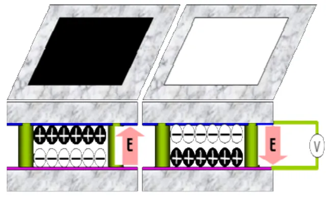 Fig. 1.The schematic representation of structure  and the driving principles of electronic  paper display using toner particles