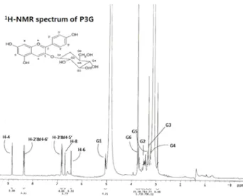 Fig.  2.  UV  absorption  spectra  of  pelargonidin  3-glucoside  isolated  from  black  waxy  corn.