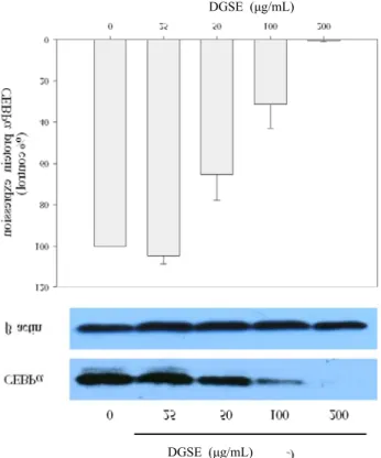Fig.  5.  Effect  of  defatted  grape  seed  extracts  (DGSE)  on  PPAR γ   protein  expression  in  differentiated  3T3-L1   adi-pocytes