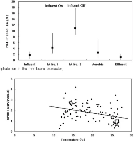 Fig.  7.  Profiles  of  phosphate  ion  in  the  membrane  bioreactor.