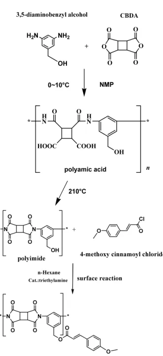 Fig. 1. The polymerization of 3,5-diamino  benzyl alcohol and CBDA and surface reaction  of polyimide film and 4methoxy cinnamoyl  chloride 