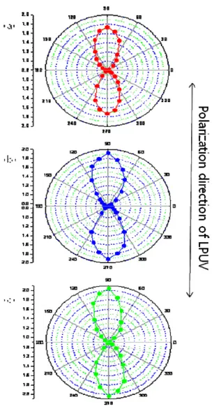 Fig. 3. Polar diagrams fo absorptions of a linearly  polarized visible light (655nm wavelength)  measured from LC cells fabricated with  polyimide containing (a) 4-methoxy  cinnamate, (b) 2-methoxy cinnamate, and  (c)2,5- dimethoxy cinnamate film irradiate