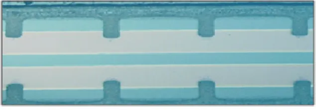 Fig. 1.  Microscope image of the IBS  electrode structure which was studied  in this paper