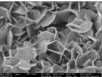 Fig.  4.  Field  emission  scanning  electron  microscopy  image  of  Mg-Fe  layered  double  hydroxide  used  in  the   experi-ment  (bar  =  200  nm).