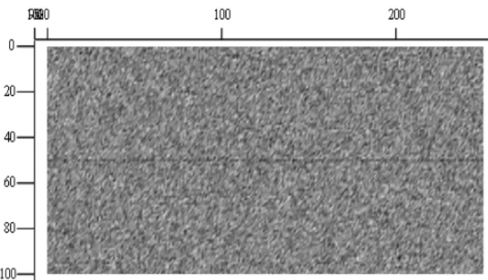 Fig. 5. Simulated Line Mura. Level is 100 cd/m 2 and noise level 0.2 cd/m 2 .  
