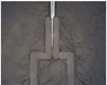 Fig. 4. Gate cavity formed between the source  and drain electrodes. 
