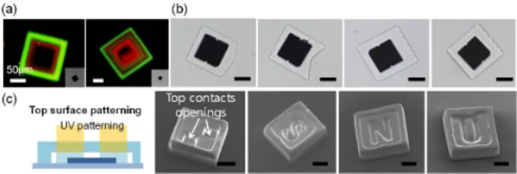 Figure 2. (a) Multilayer heterogeneous polymer  packaging (b) Lens structure fabrication for light  guiding (c) Top surface patterning for external  contacts 