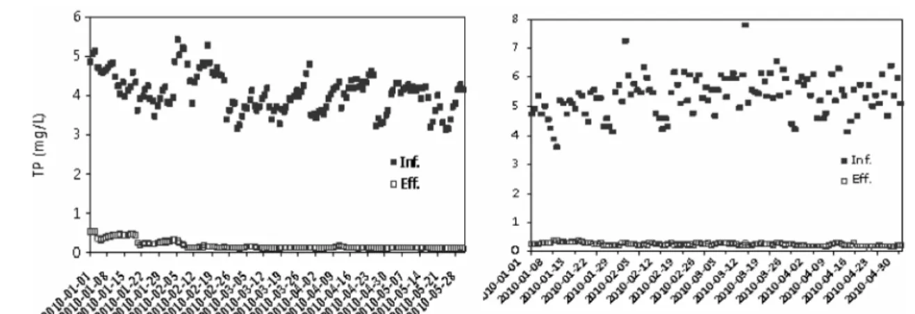 Fig.  3.  Efficiency  of  phosphorus  in  K  (left)  and  D  wastewater  plant  (right).