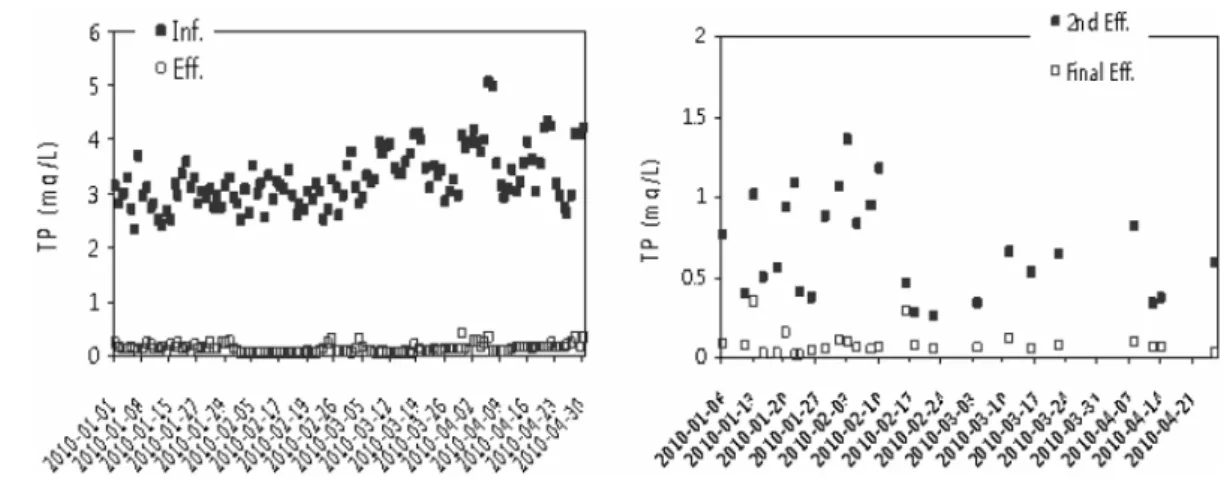 Fig.  5.  Efficiency  of  phosphorus  in  B-1  (left)  and  B-3  wastewater  plant  (right)