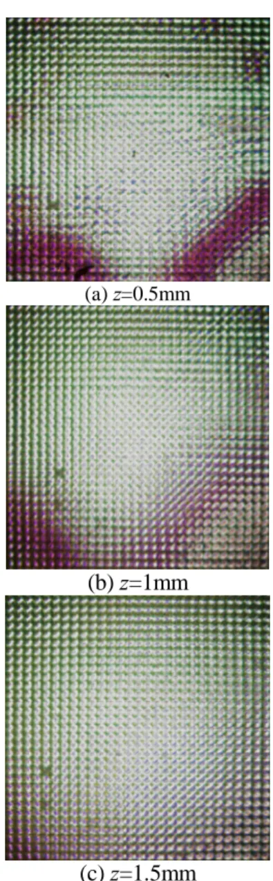 Fig. 2. Captured elemental image with different z
