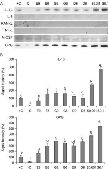Fig. 2. Expression of osteoclastic paracrine factors in the conditioned medium of MC3T3-E1 cells treated with E 2 ,  iso-flavones or soybean