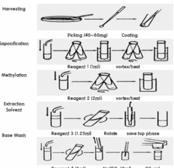 Fig.  1.  Schematic  diagram  of  pretreatment  procedure.