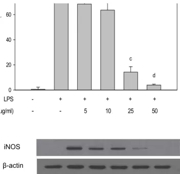 Fig.  4.  Effects  of  flower  extracts  from  C.  zawadskii  on  LPS-induced  COX-2  expression  in  RAW  264.7  macrophage