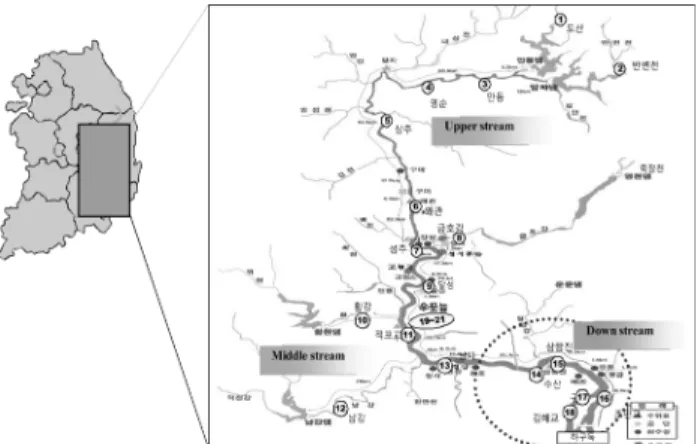 Fig.  1.  Sampling  sites  of  sediments,  Nakdong  river  in  this  study.