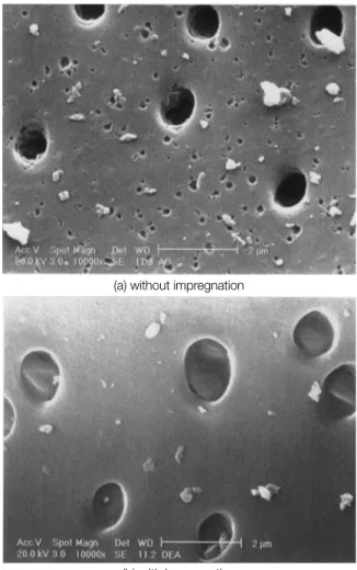 Fig.  4.  Scanning  electron  microscope  (SEM)  of  pore  structure  for  activated  carbon  (×10,000)  (a)  without  impregnation  (b)  with  impregnation.