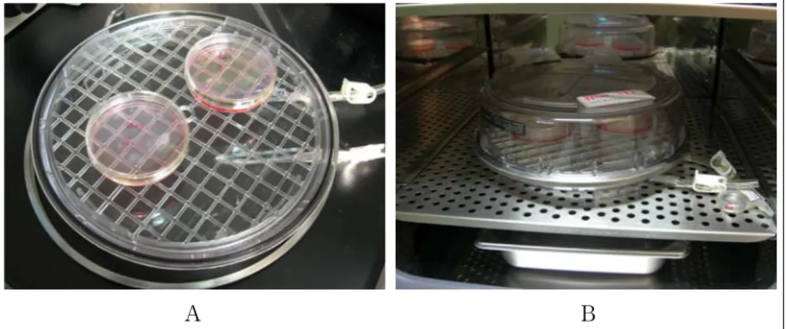 Figure 1.  Equipments for treating different oxygen concentration in cell culture system