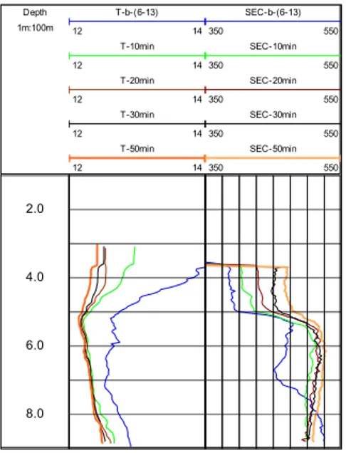 Fig. 3. Geophysical well logs of borehole site C during pumping condition.