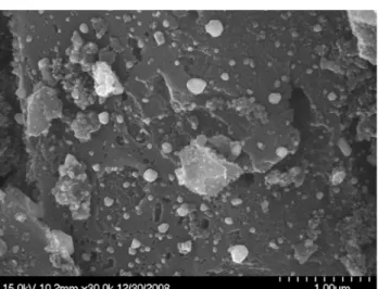 Fig.  1.  SEM  image  of  nano-silver  particles  on  the  surface  of  granular  activated  carbon.