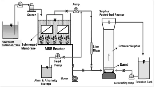 Fig.  1.  Schematic  Diagram  of  Pilot  Plant  (10  m 3 /day). 종속영양탈질균과 유사하나,  슬러지 발생량은 종속영양탈질보다  적다는  것을  알  수  있다