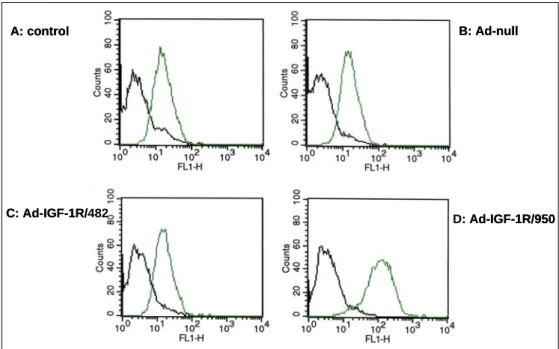 Figure 1.  Changes of IGF-1R expression on the cell surface of lung cancer cell lines after transduction with  ad-IGF-1R/482  and  950