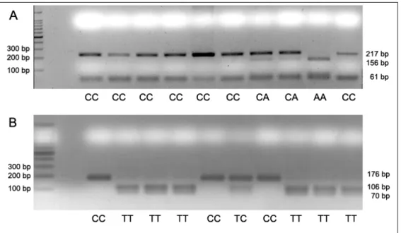 Table 1. Primer sequences for PCR-RFLP of -37 and  -524 SNP* of RRM1†gene