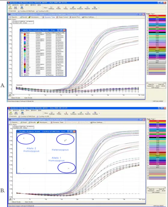 Figure 2.  Allelotyping of RRM1 by real-time PCR (TaqMan probe assay) Allelic discrimination of genotyping by  auto analysis software 6.0 program of Roter-Gene after RRM1 amplication