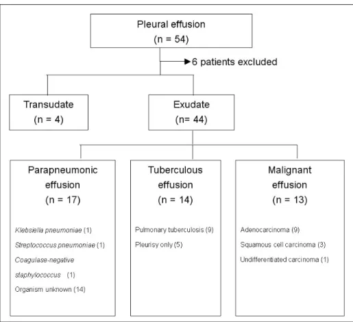 Table 2. Comparison of chemical properties of pleural fluid among different groupsFigure 1