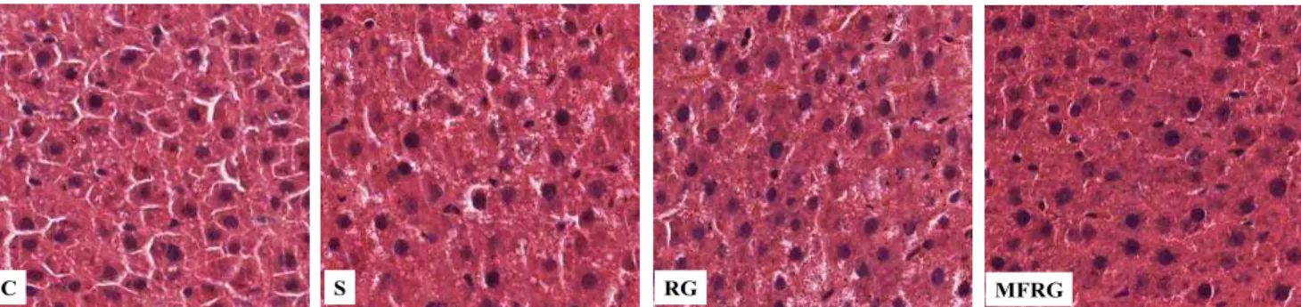 Fig. 3. Optical microscopy of hepatocytes of experimental rats (Hematoxylin &amp; Eosin stain, ×200)