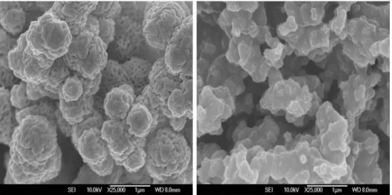 Fig.  2.  SEM  observation  of  the  surface  of  black-birnessite  particles  (left)  and  brown-birnessite  particles  (right)  at  magnification  Ｘ  25,000