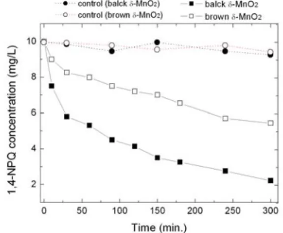 Fig. 4. Pseudo-first  order  disappearance  of  1,4-NPQ  by  birnessites  (same  experiment  as  Fig
