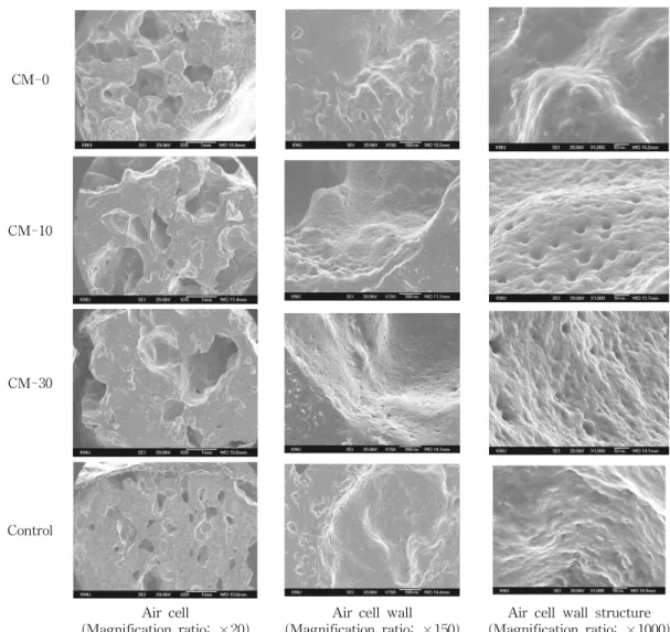 Fig. 3. Scanning electron micrographs of air cell, air cell wall, and air cell wall structure in Jeungpyun produced with rice sourdough