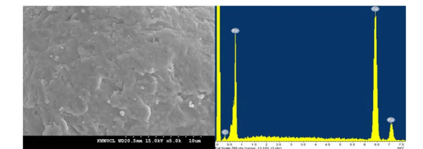 Fig.  2.  SEM-EDS  results  of  basic  oxygen  furnace  slag  used  in  the  experiment.