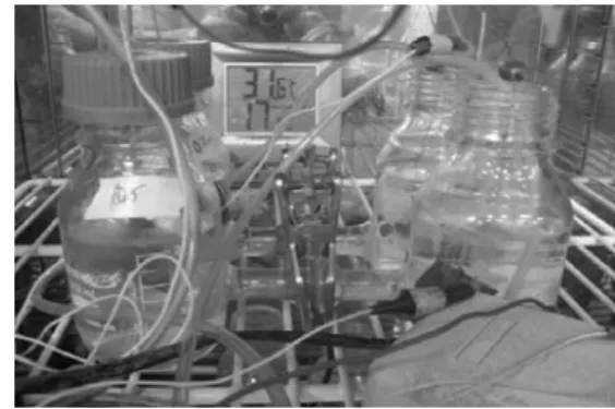 Fig.  1.  A  H-type  MFC  used  in  the  study.