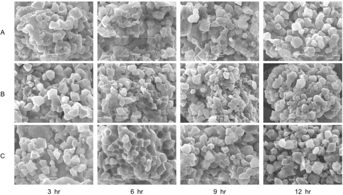 Fig. 4. Scanning electron micro photographs of non-waxy rice flours prepared at various steeping times using different grinding methods (×3000)