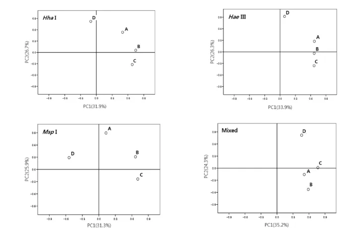 Fig. 5. Principal component analysis ordinations of T-RFLP profiles restricted with Hha I,  Hae  III,  Msp  I and mixed enzymes for leachate  from  4  different  landfill  sites  A,  B,  C  and  D.
