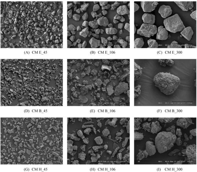 Fig. 1. Scanning electron micrographs of carboxymethylated endosperm, bran, and husk rice particles
