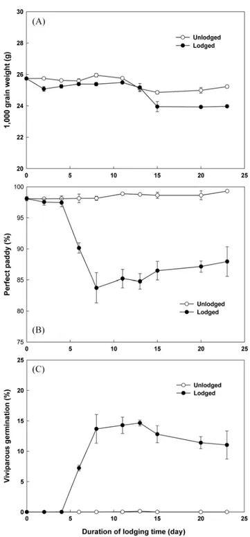 Fig. 1. Changes in 1,000 grain weight (A), perfect paddy (B), and viviparous germination (C) of lodged rough rice and unlodged rough rice of ‘Janganbyeo’ with respect to the duration of lodging time.