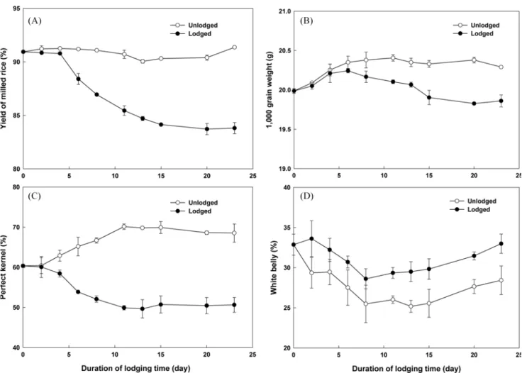 Fig. 3. Changes in yield of milled rice (A), 1,000 grain weight (B), perfect kernel (C), and white belly (D) of lodged white rice and unlodged white rice of ‘Janganbyeo’ with respect to the duration of lodging time.