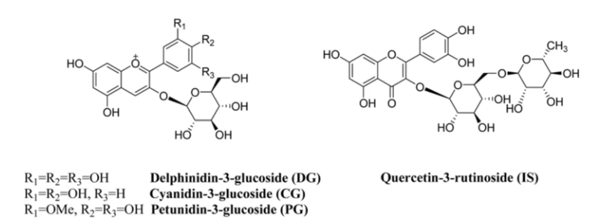 Fig. 1. Structures of anthocyanins and quercetin-3-rutinoside.