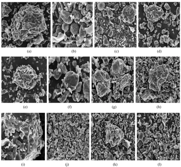 Fig. 4. Microstructure of sweet potato flours treated with different concentrations of MD and drying temperatures