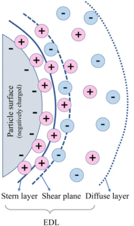 Fig. 9. Electric double layer (EDL) and streaming potential formed  by pressure-driven electrolyte flow.