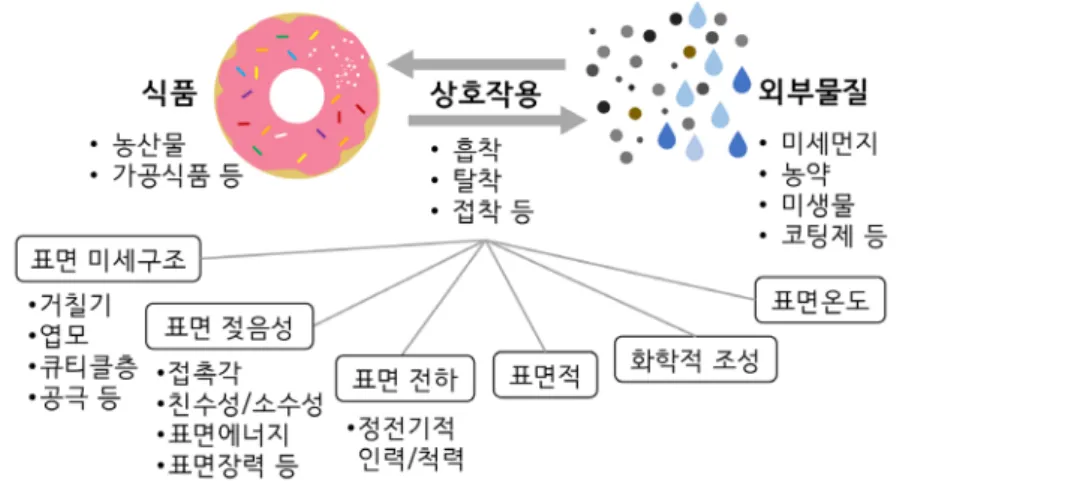 Fig. 3. Factors affecting interactions between food surface and foreign matters.