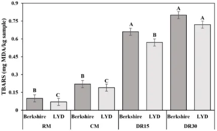 Fig.  1.   The  TBARS  of  dry-cured  loin  in  different  pig  breeds  and  processing  stage