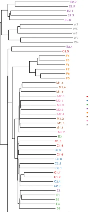Fig.  5.   Samples  clustering  result  (description,  weighted_unifrac).  The  same  color  represents  the  samples  in  the  same  group