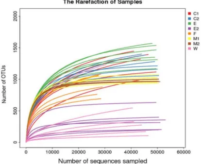 Fig. 1.  Rarefaction curves of the bacterial communities at different sampling sites. C1, pre-sterilized cow’s teats; C2, post-sterilized cow’s 
